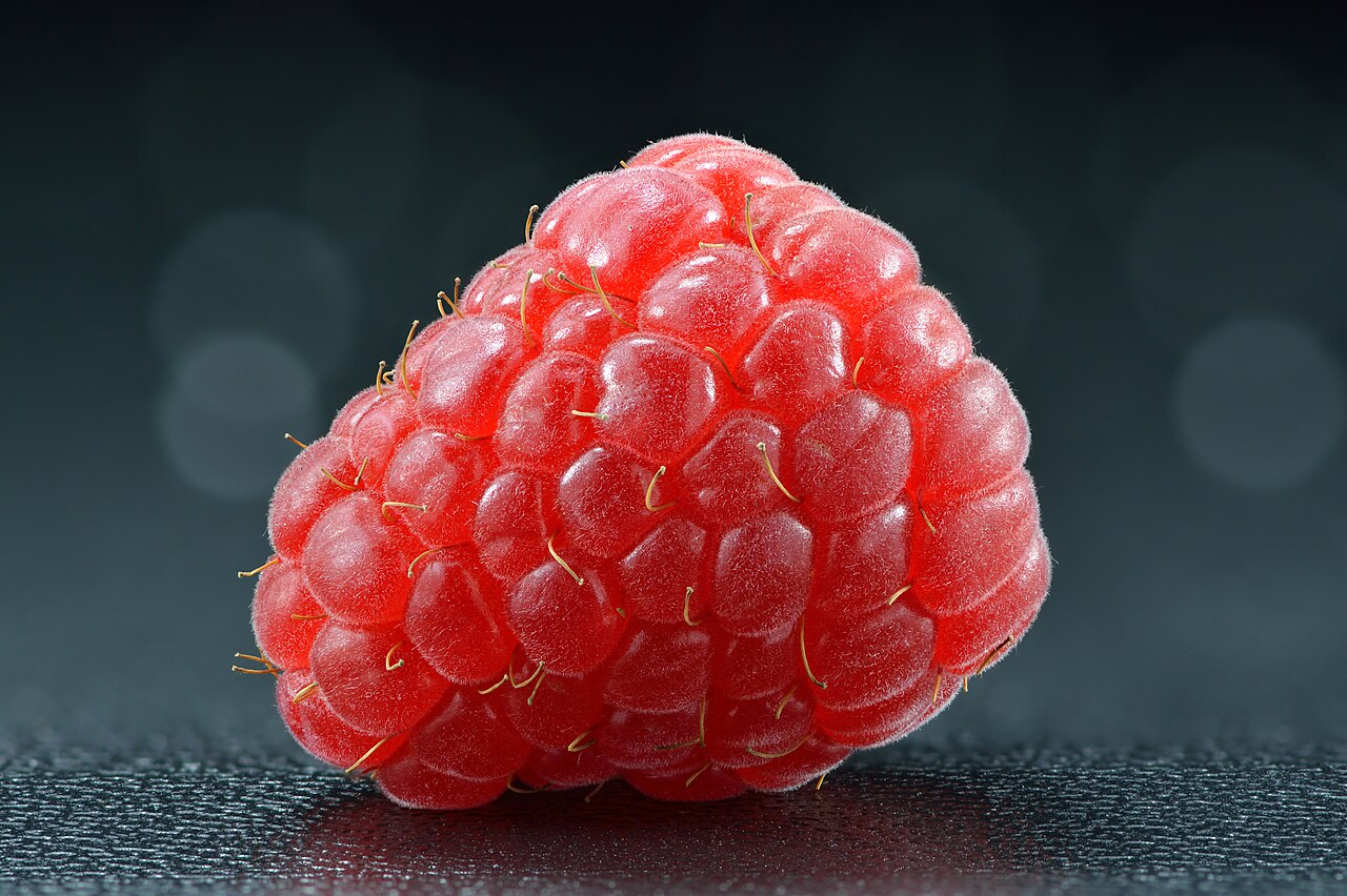 Raspberry — Rubus idaeus, used in Adriatic and Balkan herbal tradition